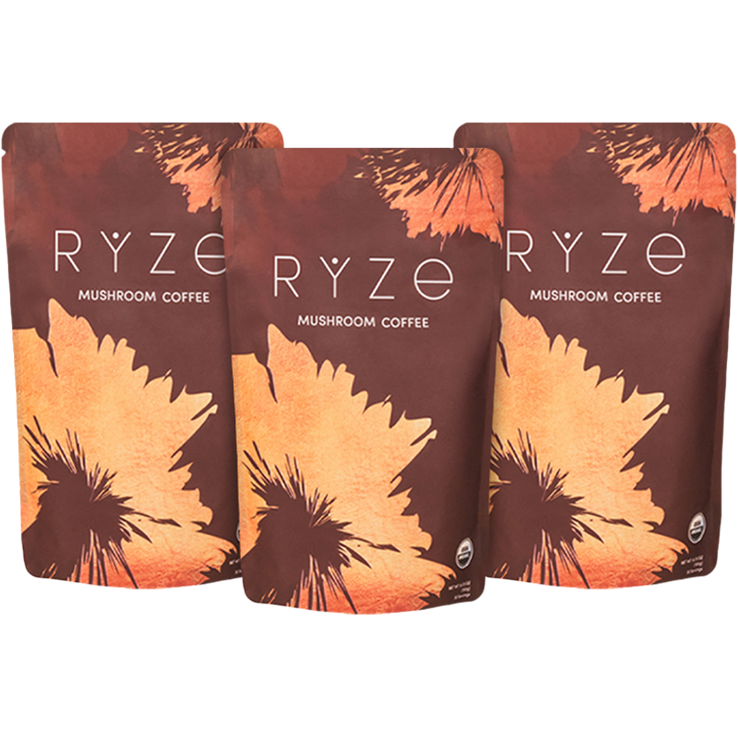 Mushroom Coffee (3-Month Upgrade)